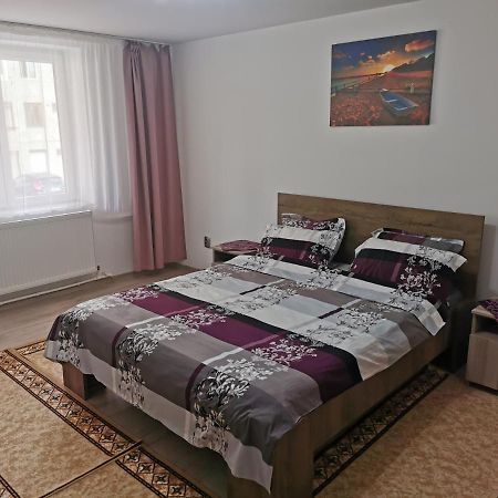 큼홀룸그몰도베네스크 Apartament Bucovina 아파트 외부 사진